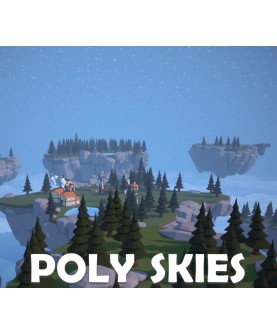 Poly Skies Steam Key GLOBAL